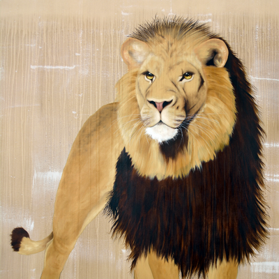 PANTHERA LEO