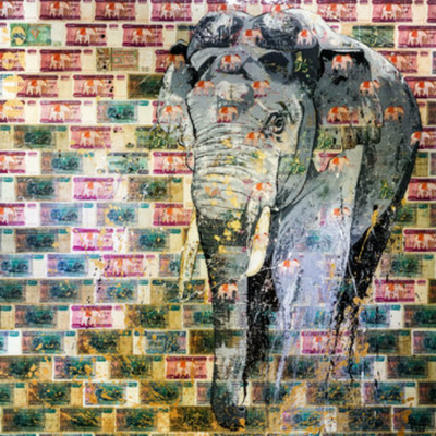 ELEPHANT 